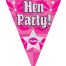 Party Bunting Hen Party Holographic Dot 11 flags 3.9m