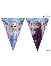 Frozen 2 Triangle Banner