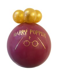 Harry Popper