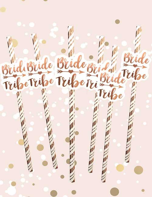 Bride Tribe Straws